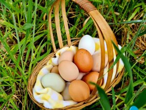 basket with eggs