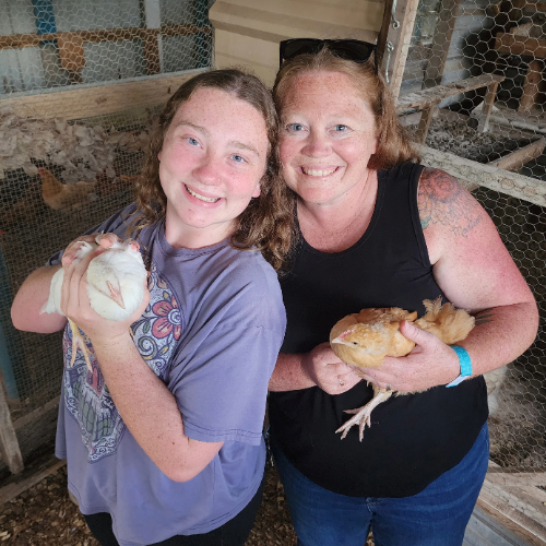 chickens2
