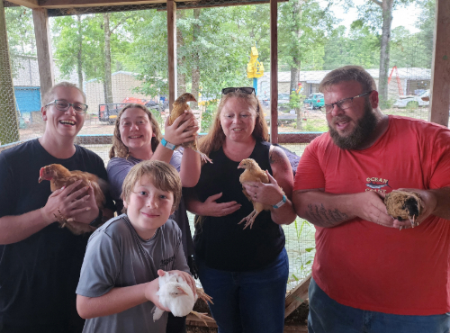 chickens3