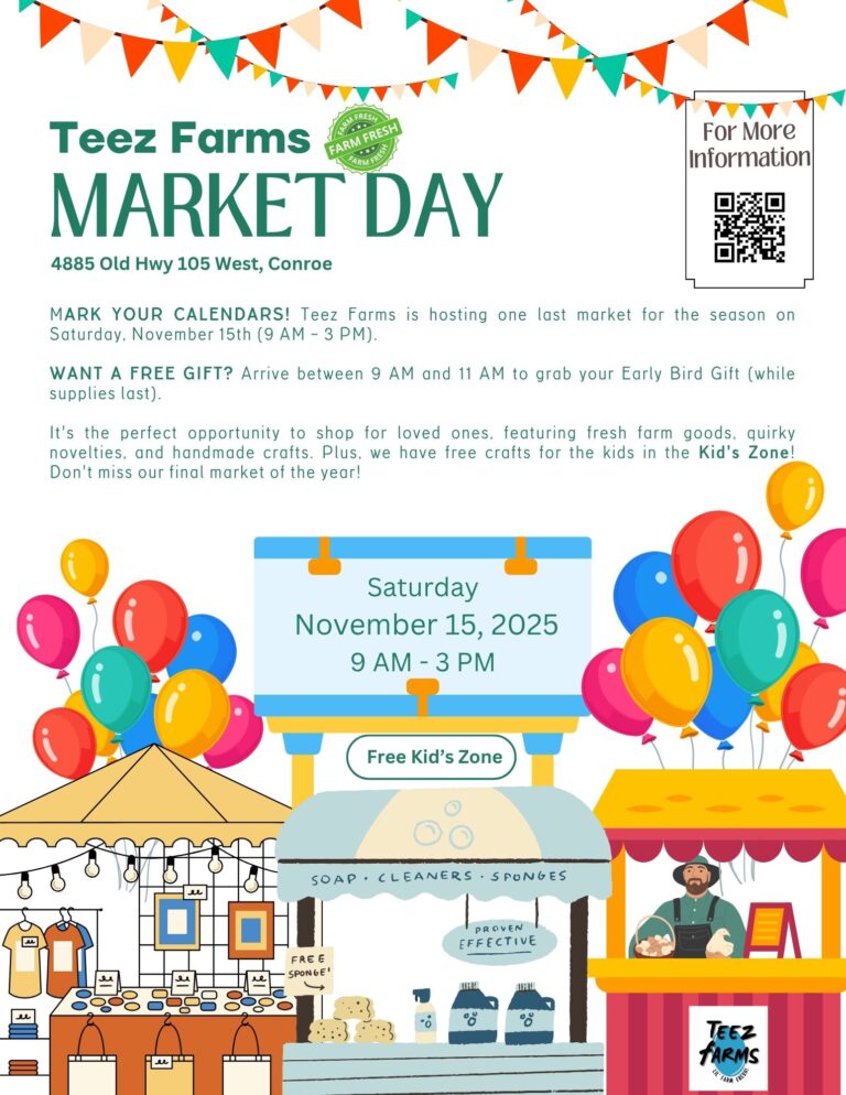 Saturday, November 15, 2025