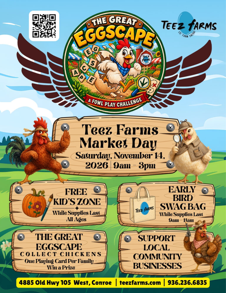 November Market Flyer 2026