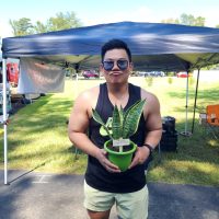 Emotional Support Plant!