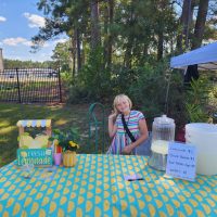 Lemonade Stand