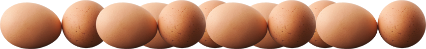 eggs