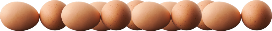 eggs eggs